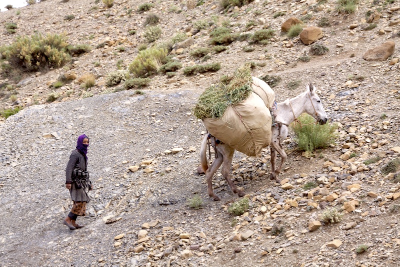 Tagoudit. Foto Ramon
