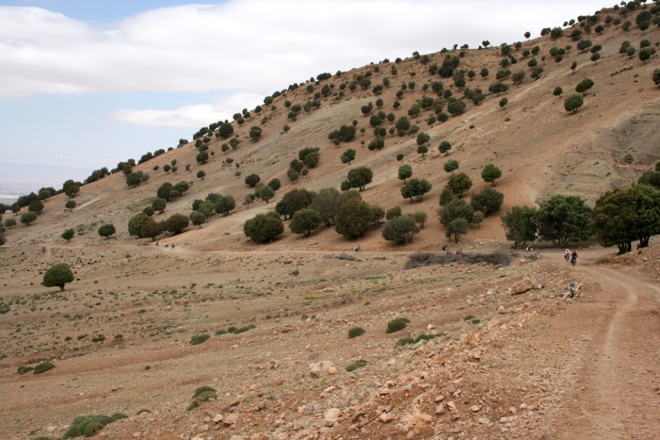 viaje a marrecos 2014 fran 024