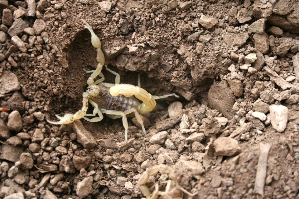 viaje a marrecos 2014 fran 041