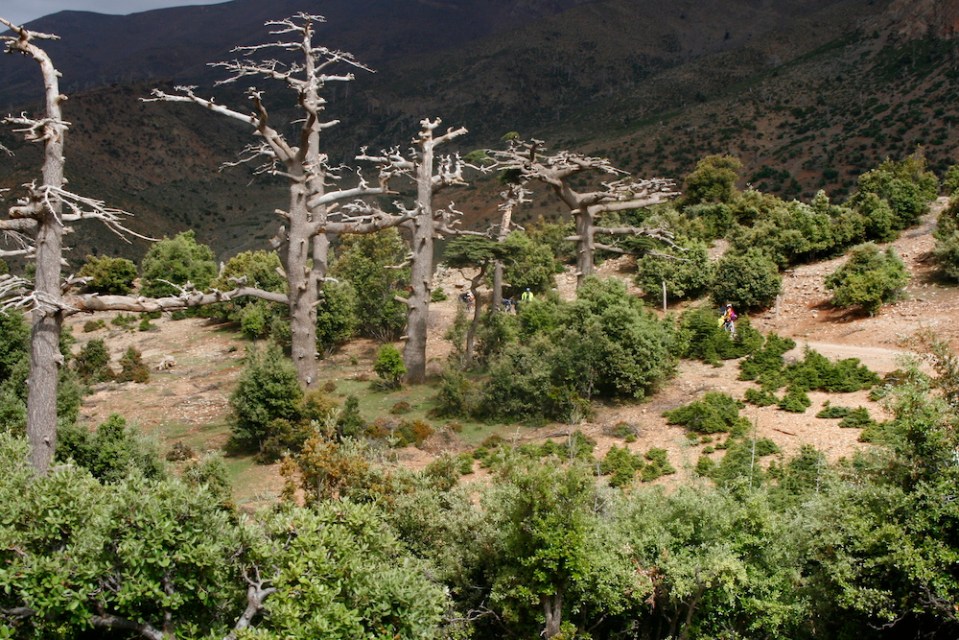 viaje a marrecos 2014 fran 049