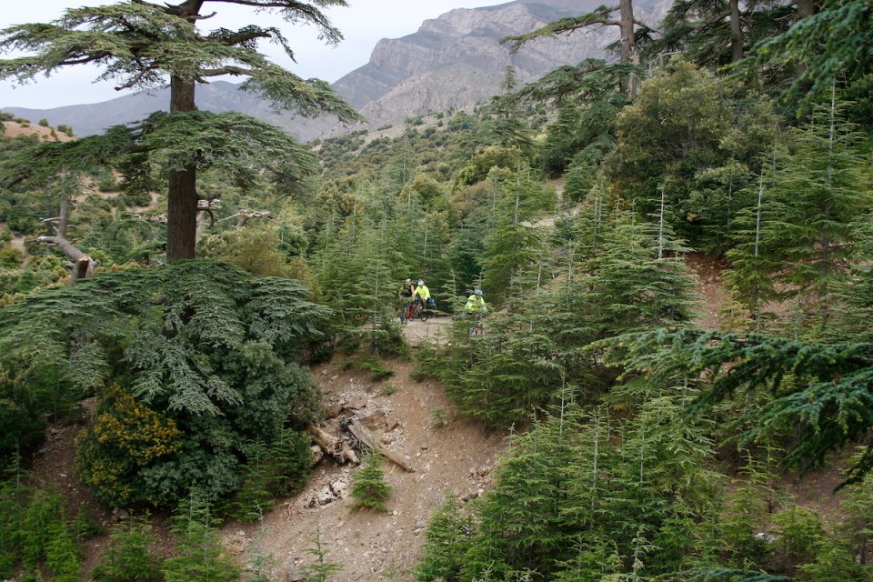 viaje a marrecos 2014 fran 053