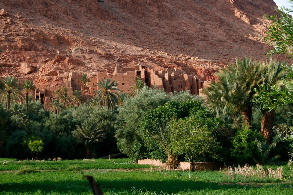 viaje a marrecos 2014 fran 324